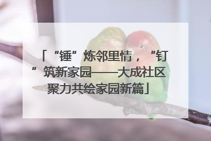 “锤”炼邻里情，“钉”筑新家园——大成社区聚力共绘家园新篇
