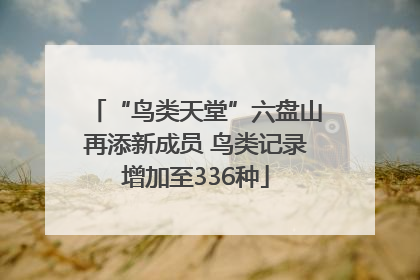 “鸟类天堂”六盘山再添新成员 鸟类记录增加至336种