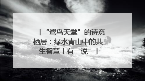 “鹭鸟天堂”的诗意栖居：绿水青山中的共生智慧丨有一说一