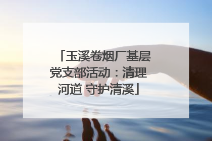 玉溪卷烟厂基层党支部活动：清理河道 守护清溪