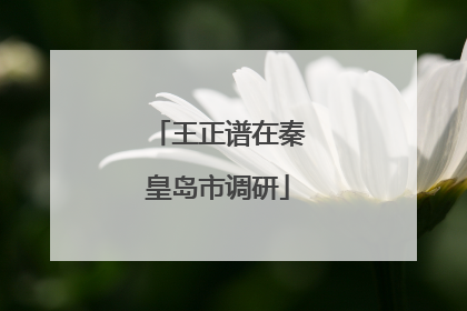 王正谱在秦皇岛市调研