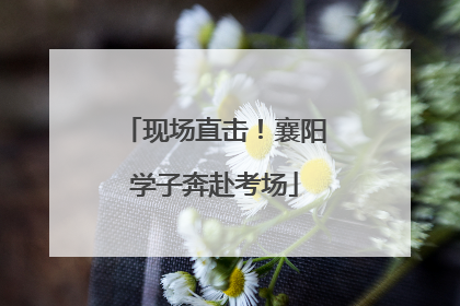 现场直击！襄阳学子奔赴考场