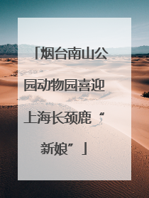 烟台南山公园动物园喜迎上海长颈鹿“新娘”