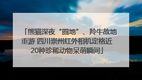 熊猫深夜“圈地”、羚牛故地重游 四川崇州红外相机定格近20种珍稀动物呆萌瞬间