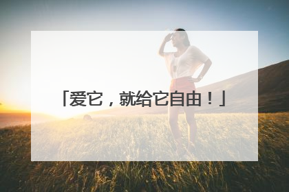 爱它，就给它自由！