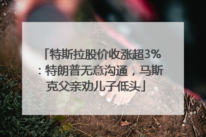 特斯拉股价收涨超3%：特朗普无意沟通，马斯克父亲劝儿子低头
