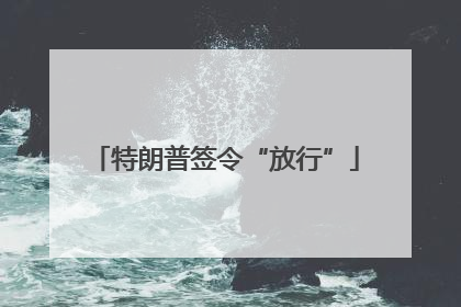 特朗普签令“放行”