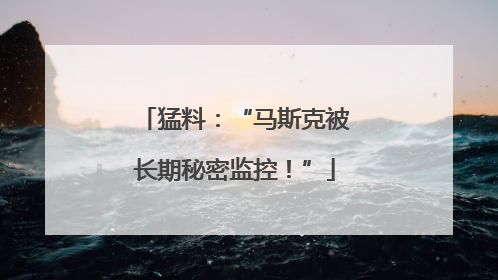 猛料：“马斯克被长期秘密监控！”