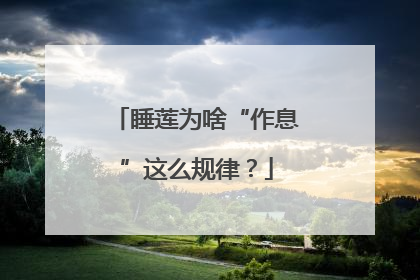 睡莲为啥“作息”这么规律？