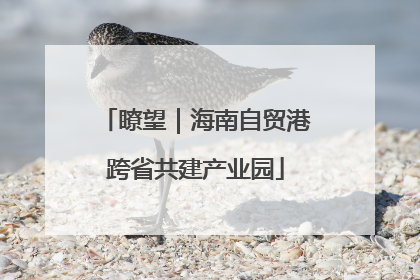 瞭望｜海南自贸港跨省共建产业园