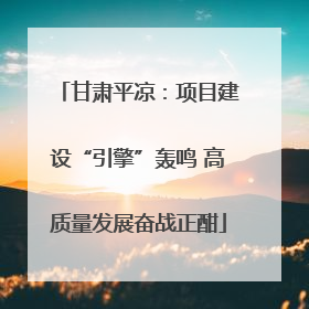 甘肃平凉：项目建设“引擎”轰鸣 高质量发展奋战正酣