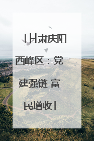 甘肃庆阳西峰区：党建强链 富民增收