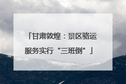 甘肃敦煌：景区骆运服务实行“三班倒”