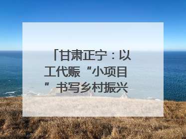 甘肃正宁：以工代赈“小项目”书写乡村振兴“大文章”