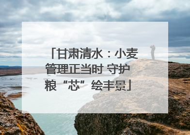 甘肃清水：小麦管理正当时 守护粮“芯”绘丰景