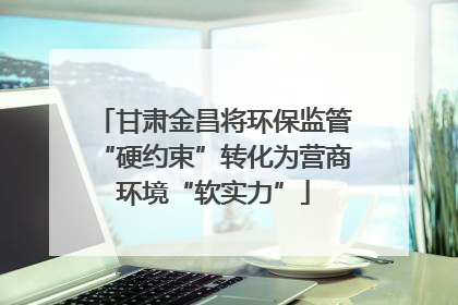 甘肃金昌将环保监管“硬约束”转化为营商环境“软实力”