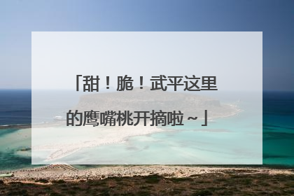 甜！脆！武平这里的鹰嘴桃开摘啦～