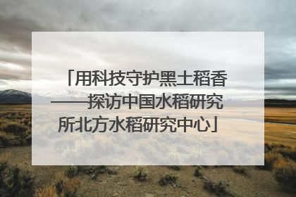 用科技守护黑土稻香——探访中国水稻研究所北方水稻研究中心