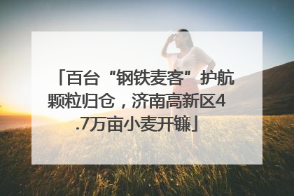 百台“钢铁麦客”护航颗粒归仓，济南高新区4.7万亩小麦开镰