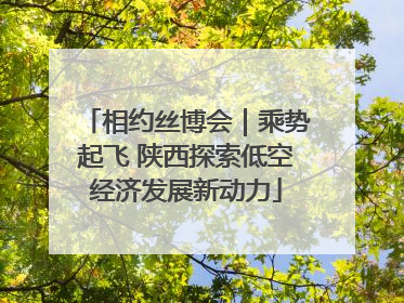 相约丝博会｜乘势起飞 陕西探索低空经济发展新动力