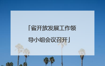 省开放发展工作领导小组会议召开