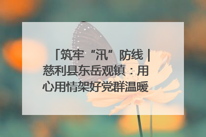 筑牢“汛”防线｜慈利县东岳观镇：用心用情架好党群温暖悠长的“连心桥”