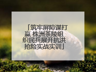 筑牢屏障谋打赢 株洲茶陵组织民兵展开抗洪抢险实战实训