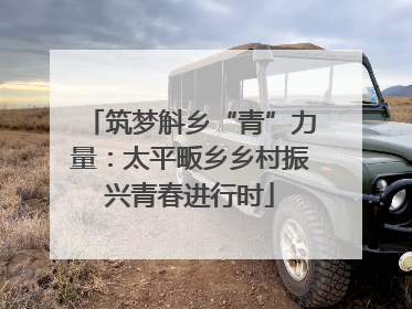 筑梦斛乡“青”力量：太平畈乡乡村振兴青春进行时
