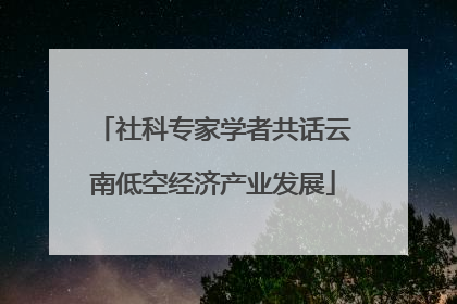 社科专家学者共话云南低空经济产业发展