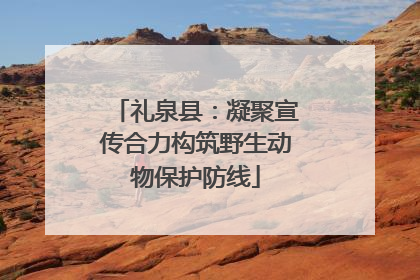 礼泉县：凝聚宣传合力构筑野生动物保护防线