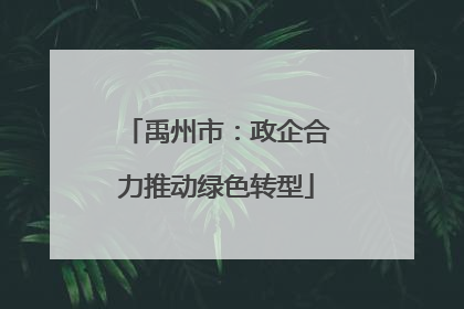 禹州市：政企合力推动绿色转型