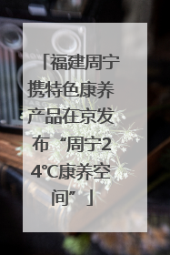 福建周宁携特色康养产品在京发布“周宁24℃康养空间”