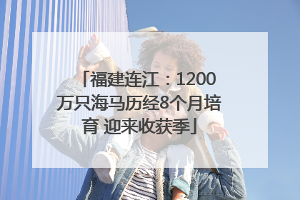 福建连江：1200万只海马历经8个月培育 迎来收获季