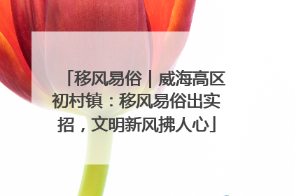 移风易俗｜威海高区初村镇：移风易俗出实招，文明新风拂人心