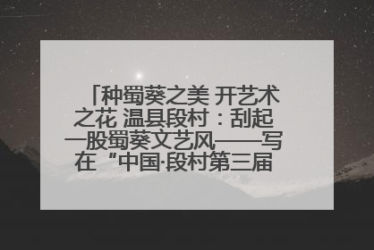 种蜀葵之美 开艺术之花 温县段村：刮起一股蜀葵文艺风——写在“中国·段村第三届蜀葵画展”开展之际