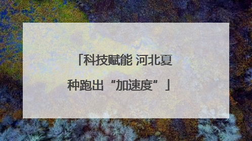 科技赋能 河北夏种跑出“加速度”