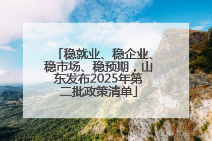 稳就业、稳企业、稳市场、稳预期，山东发布2025年第二批政策清单