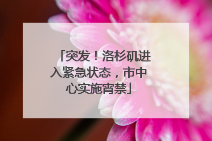 突发！洛杉矶进入紧急状态，市中心实施宵禁