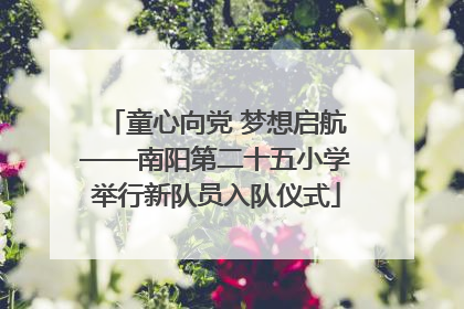 童心向党 梦想启航——南阳第二十五小学举行新队员入队仪式