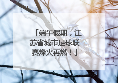 端午假期，江苏省城市足球联赛烽火再燃！