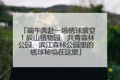 端午奔赴一场绣球盛宴！辰山植物园、共青森林公园、滨江森林公园里的绣球秘境在这里