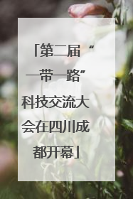 第二届“一带一路”科技交流大会在四川成都开幕