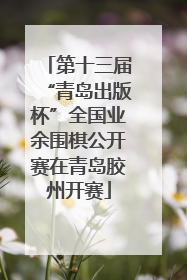 第十三届“青岛出版杯”全国业余围棋公开赛在青岛胶州开赛