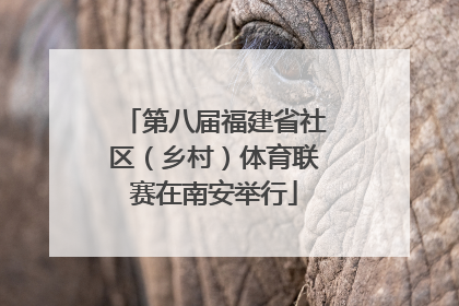 第八届福建省社区（乡村）体育联赛在南安举行