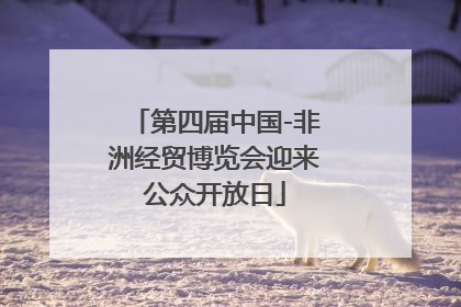第四届中国-非洲经贸博览会迎来公众开放日