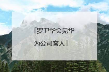 罗卫华会见华为公司客人