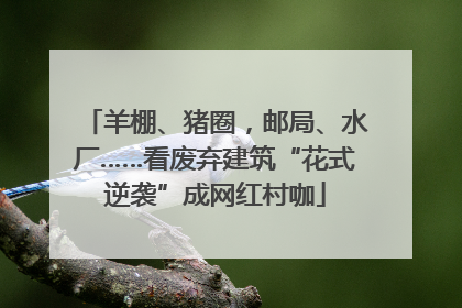 羊棚、猪圈，邮局、水厂……看废弃建筑“花式逆袭”成网红村咖