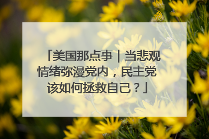 美国那点事｜当悲观情绪弥漫党内，民主党该如何拯救自己？