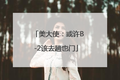 美大使：或许B-2该去趟也门