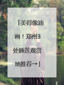 美得像油画！郑州3处睡莲观赏地推荐→